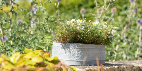 Pots Vases and Planters