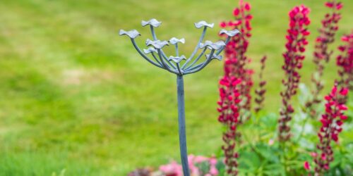 Stems