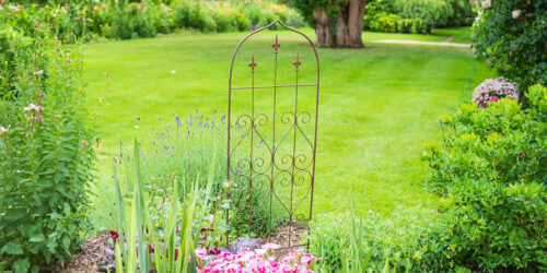 Trellises and Obelisks